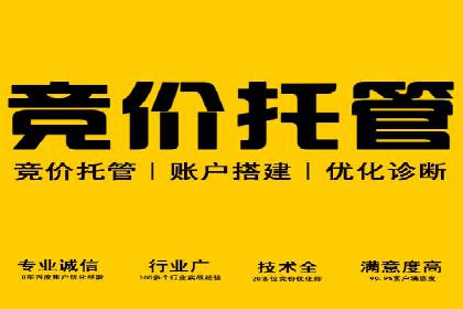某品牌SEM推广代运营的实践与效果评估